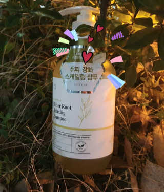 달리프 클로렐라 베러 루트 릴렉싱 샴푸 500ml — 5점을 준 리뷰어가 2020년 1월 올린 사용 사진