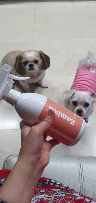 페티앙님이 올린 리뷰 사진 1