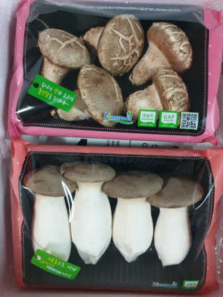 송은선님이 올린 리뷰 사진 2