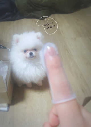 박예은님이 올린 리뷰 사진 1