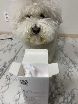 [펫토리아] 뚝딱케어 강아지 고양이 다목적세정제 — 5점을 준 리뷰어가 2020년 2월 올린 사용 사진