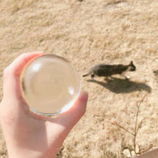 지순님이 올린 리뷰 사진 3
