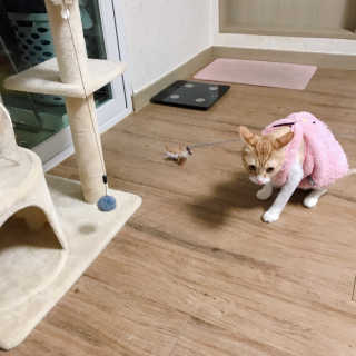 다혜님이 올린 리뷰 사진 4