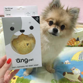Ariel님이 올린 리뷰 사진 1