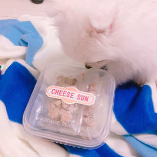 멍지밍지님이 올린 리뷰 사진 2