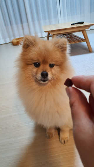 공삼님이 올린 리뷰 사진 1