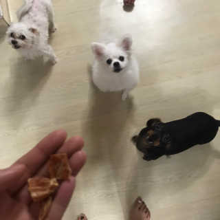 은영이님이 올린 리뷰 사진 3