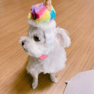 이소정님이 올린 리뷰 사진 3