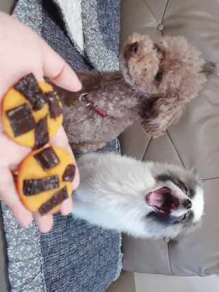 코콩님이 올린 리뷰 사진 3