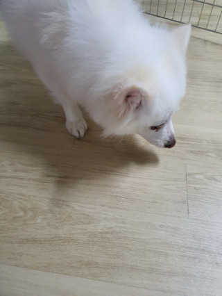 소라빵님이 올린 리뷰 사진 3