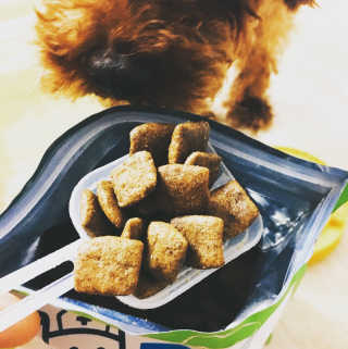 cola님이 올린 리뷰 사진 2