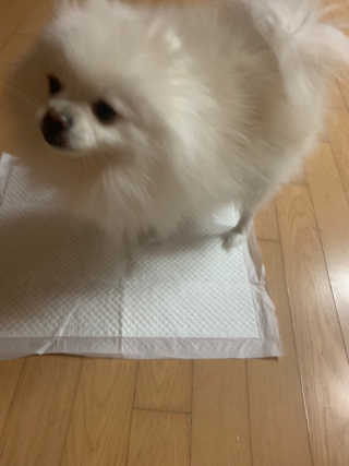 봉봉달봉님이 올린 리뷰 사진 3