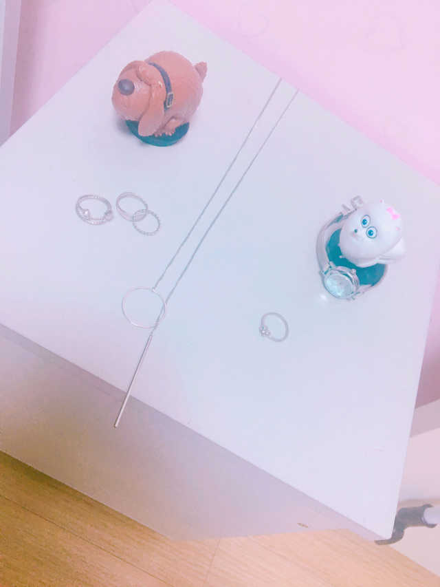 써지컬스틸 써클스틱롱목걸이 리뷰 사진