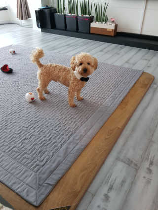 큐티윤님이 올린 리뷰 사진 3