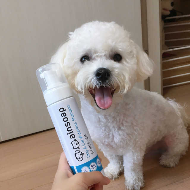 강아지 고양이 워터리스샴푸 리뷰 사진