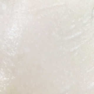 다솜님이 올린 리뷰 사진 2