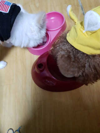 밍크찡님이 올린 리뷰 사진 2