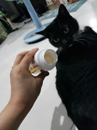 hammy님이 올린 리뷰 사진 2