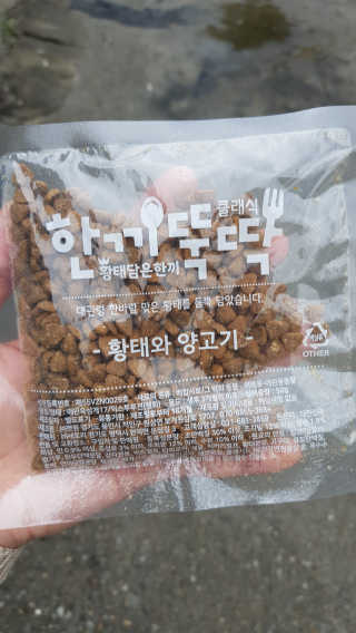 펫토리아 한끼뚝딱 클래식 국산 건식사료 — 4점을 준 리뷰어가 2019년 7월 올린 사용 사진