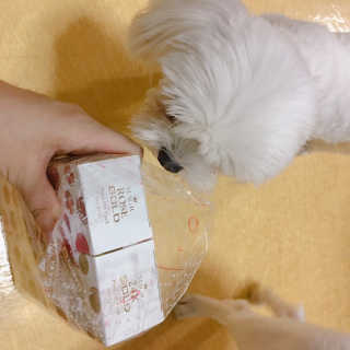 판다님이 올린 리뷰 사진 3