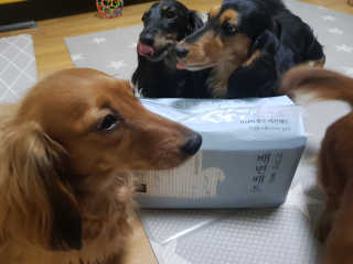 주짱님이 올린 리뷰 사진 1