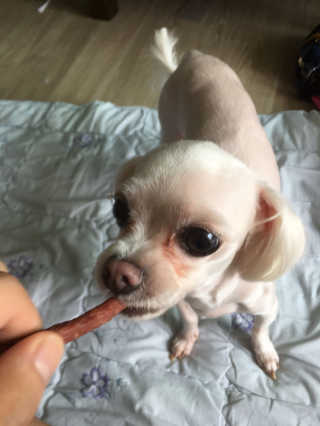 이원빈님이 올린 리뷰 사진 2
