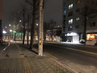 비숑일기♥️님이 올린 리뷰 사진 1