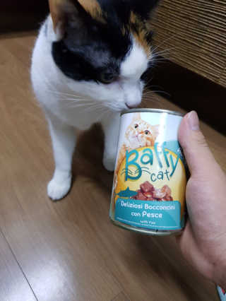 [펫토리아]배피 고양이,빌리강아지 대용량주식캔 — 5점을 준 리뷰어가 2019년 7월 올린 사용 사진