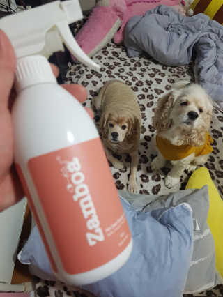 조소민님이 올린 리뷰 사진 1