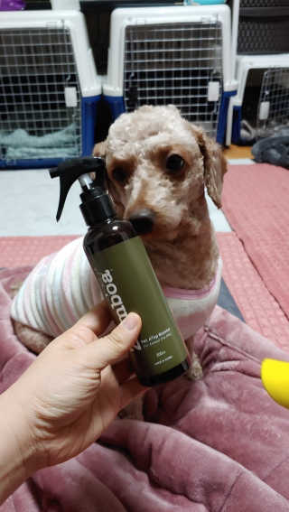 무지개둥이네님이 올린 리뷰 사진 2