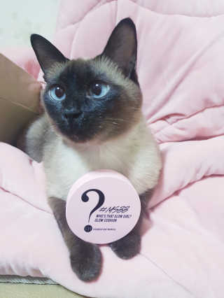 리체리님이 올린 리뷰 사진 1