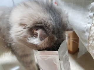 HyangsookLee님이 올린 리뷰 사진 4
