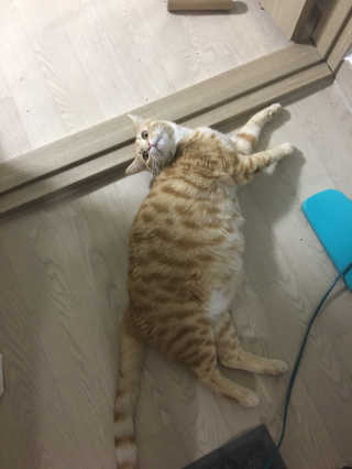 이아님이 올린 리뷰 사진 4
