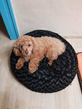 csong님이 올린 리뷰 사진 1
