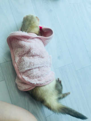 이소현님이 올린 리뷰 사진 2