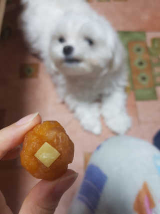김고양이님이 올린 리뷰 사진 3
