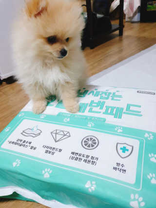 으콩님이 올린 리뷰 사진 1