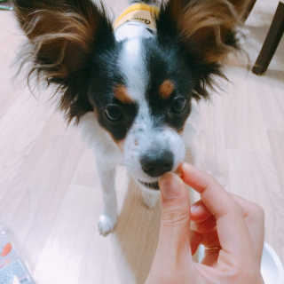 마법의성님이 올린 리뷰 사진 2