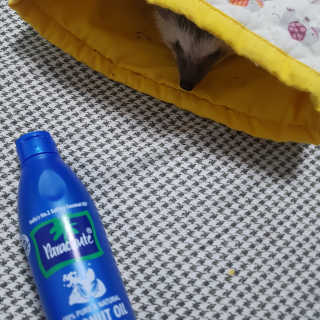 루돌프사슴님이 올린 리뷰 사진 3