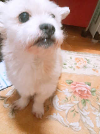 moomoon님이 올린 리뷰 사진 3