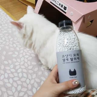 Hyojician님이 올린 리뷰 사진 2