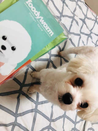 HS님이 올린 리뷰 사진 4