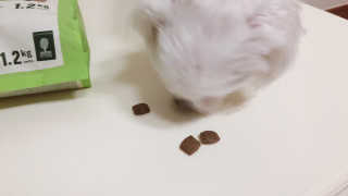 HS님이 올린 리뷰 사진 3