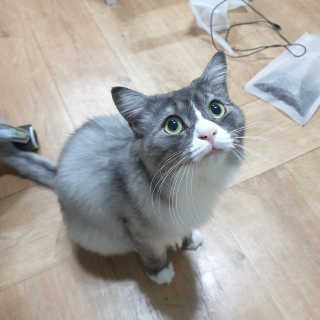 루나님이 올린 리뷰 사진 2