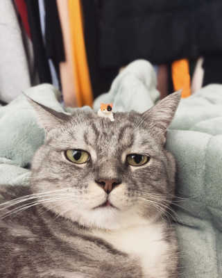 호롤로님이 올린 리뷰 사진 2