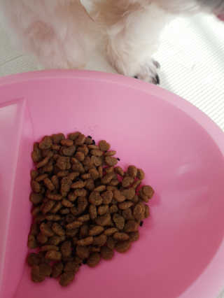 민우다빈이맘님이 올린 리뷰 사진 1