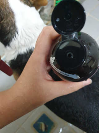 beaglelove님이 올린 리뷰 사진 2