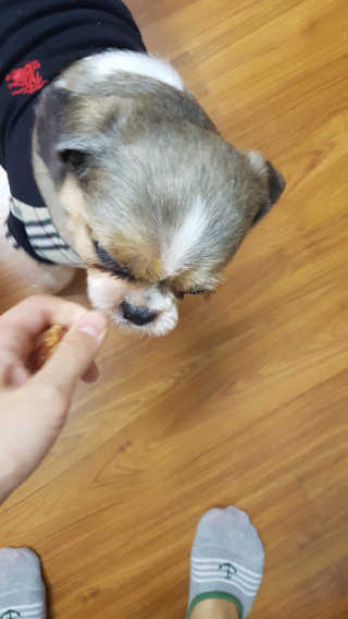 쭌쭌맘님이 올린 리뷰 사진 2