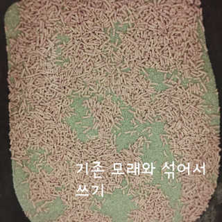 벼리님이 올린 리뷰 사진 2
