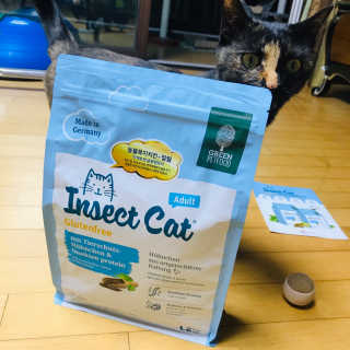 그린펫푸드 인섹트캣 글루텐프리（1.2KG） — 5점을 준 리뷰어가 2019년 9월 올린 사용 사진